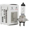 Psa Parts PSA C4 Cactus C3 Picasso Bulb spotlight Originalus 621697