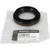 Renault Grand Scenic III Megane III Koleos I Master III Guoliu Apsauga Originalus 383421561R