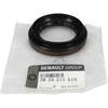 Renault Grand Scenic III Megane III Koleos I Master III Guoliu Apsauga Originalus 383421561R