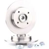 SKF stabdžių diskas VKBD1011 803407291