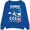 Sonic megztinis berniukams