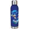 Sonic The Hedgehog Ežiuko Soniko gertuvė, 750 ml