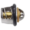 TERMOSTATAS KYMCO GRAND DINK DOWNTOWN B&W PEOPLE KXR MXU MAXXER X-CITING YUP 50-400 RMS