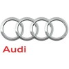 VAG Audi A4 B6 B7 A6 C6 A8 D3 Stabdžių skysčio rezervuaro lygio jutiklis 8E0611377