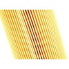 VAG filter element with gasket Originalus 07C115562E