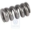 VAG Golf Mk1 Scirocco Mk1 Injectorio Spiralis Originalus 068130271