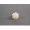 VAG Insert Nut AUDI 100 C3 Saloon 1982-1988 Originalus 321813998A