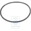 Vag Lt Mk2 1997 2007 Seal Ring Originalus 062130233A