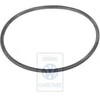 Vag Lt Mk2 1997 2007 Seal Ring Originalus 062130233A