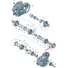 VAG MANUALUS TRANSMISIJOS ISVEDIMO ŠAFTAUS BEARING Originalus 02J311325