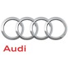 VAG NAUJAS OEM AUDI A3 8P GALINIS DANGTIS DUJŲ PILDYTAS STOVAS 8P3827552E ORIGINALUS