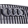 VAG Naujas originalus Audi Q5 8R priekinis radiatoriaus groteles akmens pilkos spalvos Quattro 8R0853651A1QP