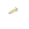 VAG Originalus VW AUDI SEAT Campmobile ovalus csk savisriegis varžtas x5 vnt N0141063