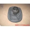 Vag Passat B5 GP 2001 2005 Pavarų Perjungimo Raktas Su Durų Dėžės Danga Originalus 3B0711113ALLZA