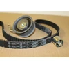 Vag Reparatursatz Zahnriemen Audi A3 A6 TT Volkswagen Beetle Golf Originalus 06A198119A