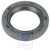 VAG Šafto Žiedo Antigrybščio Auskis Audi A4 A6 1995 2005 Originalus J9031130014
