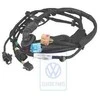 Vag Skoda Octavia A4 1999 2000 Durys Rytas Kabeliu Rinkinys Originalus 1C9971121