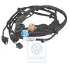 Vag Skoda Octavia A4 1999 2000 Durys Rytas Kabeliu Rinkinys Originalus 1C9971121