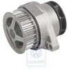 VAG Vandenpumpė Golf Mk3 Polo 6N Originalus 030121008D