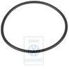Vag Variklio Slėnio Apsauginė Originalus N90359001