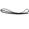 VAG VW Audi Seat Slankiojančio stogo lango sandariklis 2425 mm ilgio originalus 8D0877297