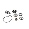 VANDENS SIURBLYS GILERA NEXUS 250 300 PIAGGIO VESPA RMS
