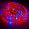 10W/5m 5+1 12V pilno spektro LED juosta augalų auginimui