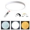 48W Dimeriuojamas lubinis LED šviestuvas baltas D450mm
