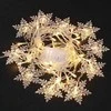 LED užuolaida 230V šilta 4x0.6m 96LED su valdikliu