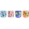 Bialetti Fruit Vibes 4 vnt. x 90 ml