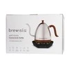 Virdulys Brewista Artisan Sidabrinė