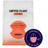 Coffee Plant COFFEE PLANT CASCARA Hacienda Sonora 180g