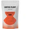 COFFEE PLANT - FLOW Blossom Filter 100g