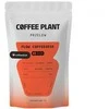 COFFEE PLANT - FLOW Coffeedesk Filter 100g