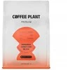 Coffee Plant KAVOS AUGALAS - Hondūras Sebastian Mejia medaus filtras 250 g