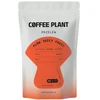 Coffee Plant KAVOS AUGALAS - Flow Juicy Fruit filtras 100g