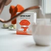 Coffee Plant COFFEE PLANT - kawa w saszetlach Kenia Tegu Drip Bag - 10 saszetek 11 g