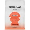 COFFEE PLANT - Uganda Butawa Washed Filter 250 g