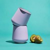 Fellow - Ruby vyno termosas - 2 vnt. rinkinys - Peri Twinkle 355 ml