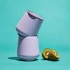 Fellow - Ruby vyno termosas - 2 vnt. rinkinys - Peri Twinkle 355 ml