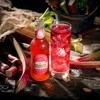Fentimans Rhubarb Lemonade - 275ml Drink