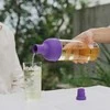 Hario - šalto kavos ruošimo Aya Shippo 750ml - violetinė