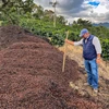 Johan & Nyström - Guatemala Wicho Valdes Santa Isabel Washed Filter 250 g