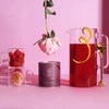 Baltas arbatos ir žolelių mišinys Lune Tea Pure Beauty, 45 g