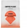Coffee Plant KAVOS AUGALAS - Kolumbija Miriam Quesada rausvasis burbonas natūralus filtras 250 g