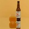„Shroom“ – energinis gėrimas, 330 ml