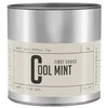 Teministeriet Ministriet - First Choice Cool Mint Nr. 2 - Biri arbata 80g