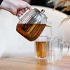 Tulip Vialli Design - Tulpių ąsotis su filtru Sidabrinis matinis 1l