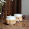Tulip Vialli Design - Tulpių rinkinys iš 2 puodelių su rožine rankena 350ml
