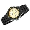 Casio moteriškas laikrodis LRW-200H-9EVDF + dėžutė